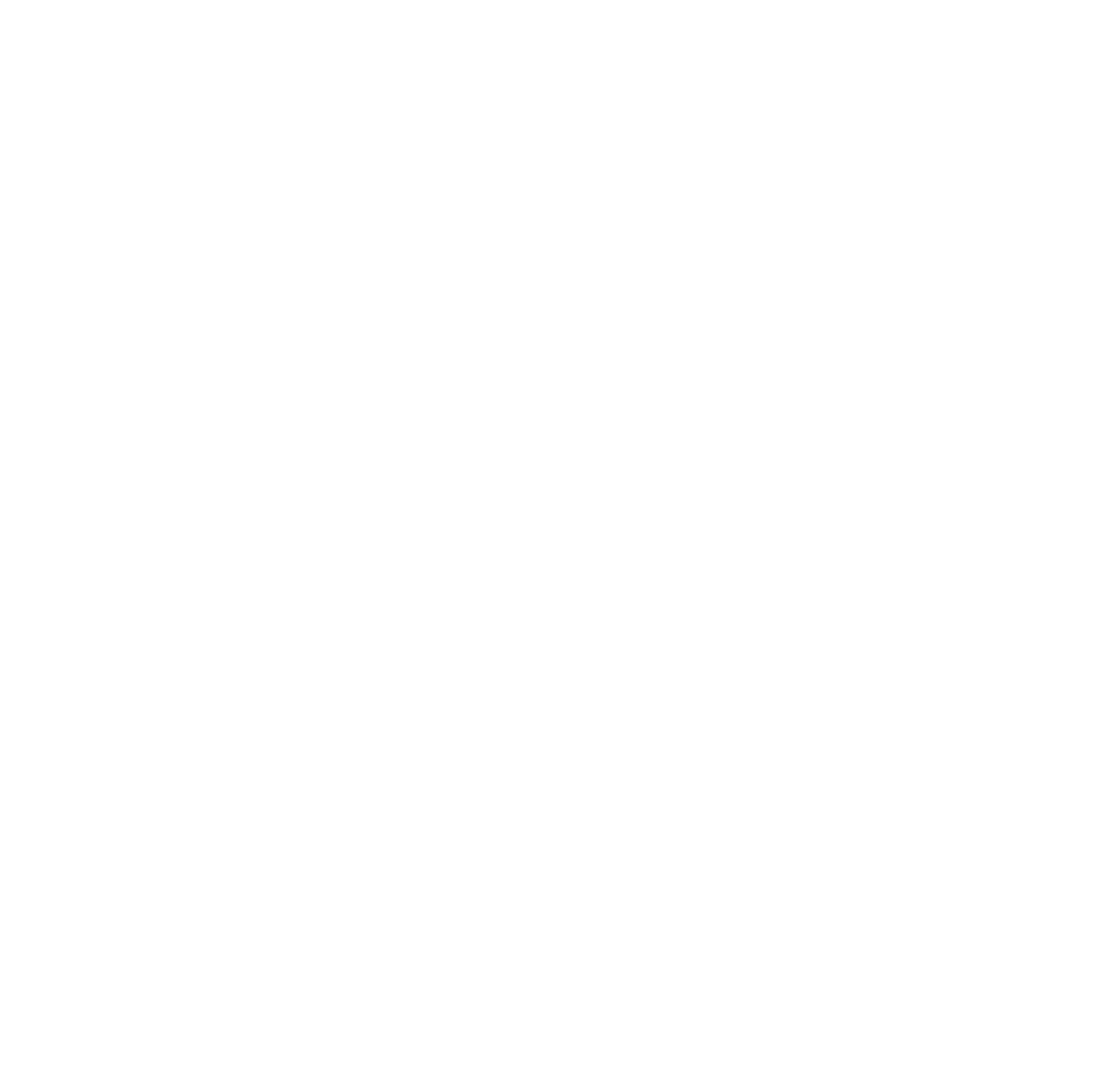 Space dog